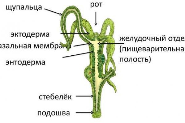 Кракен интернет